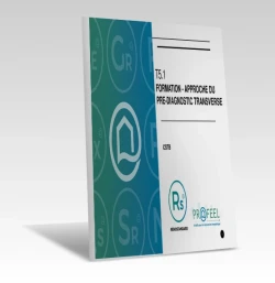 Approche du pré-diagnostic transverse - RénoStandard de PROFEEL - Miniature Page 1 Approche du pré-diagnostic transverse - RénoStandard de PROFEEL - Miniature Page 1