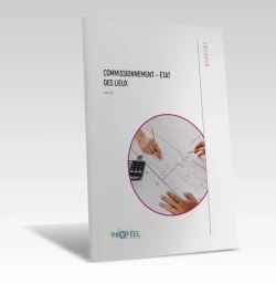 Commissionnement - Etat des lieux de PROFEEL - Miniature Page 1