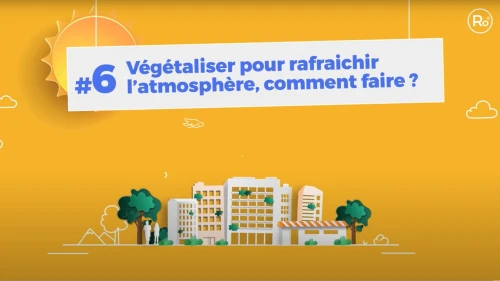 Ecogestes : végétaliser pour rafraîchir l’atmosphère de PROFEEL - Miniature Page 1