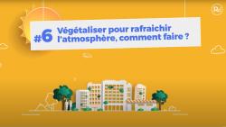 Ecogestes : végétaliser pour rafraîchir l’atmosphère de PROFEEL - Miniature Page 1