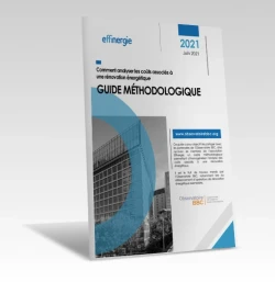 Guide méthodologique sur l'analyse des coûts de rénovation énergétique de PROFEEL - Miniature Page 1
