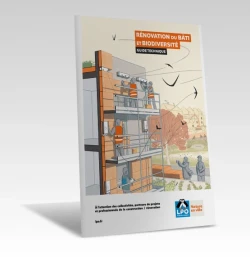 Guide technique : Rénovation du Bâti et biodiversité de PROFEEL - Miniature Page 1