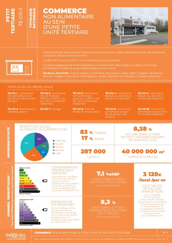 FICHE TYPOLOGIE (analyse du parc existant) TE-CO-1 de PROFEEL - Page 1