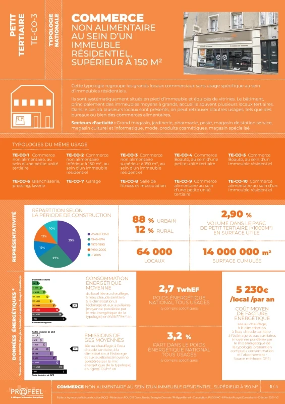 FICHE TYPOLOGIE (analyse du parc existant) TE-CO-3 de PROFEEL - Page 1