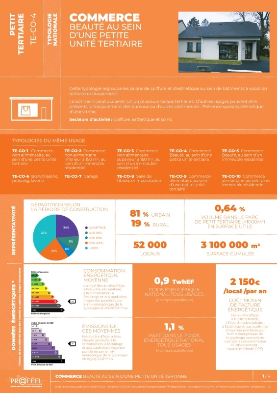 FICHE TYPOLOGIE (analyse du parc existant) TE-CO-4 de PROFEEL - Page 1