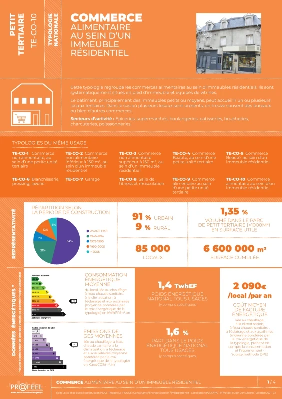FICHE TYPOLOGIE (analyse du parc existant) TE-CO-10 de PROFEEL - Page 1