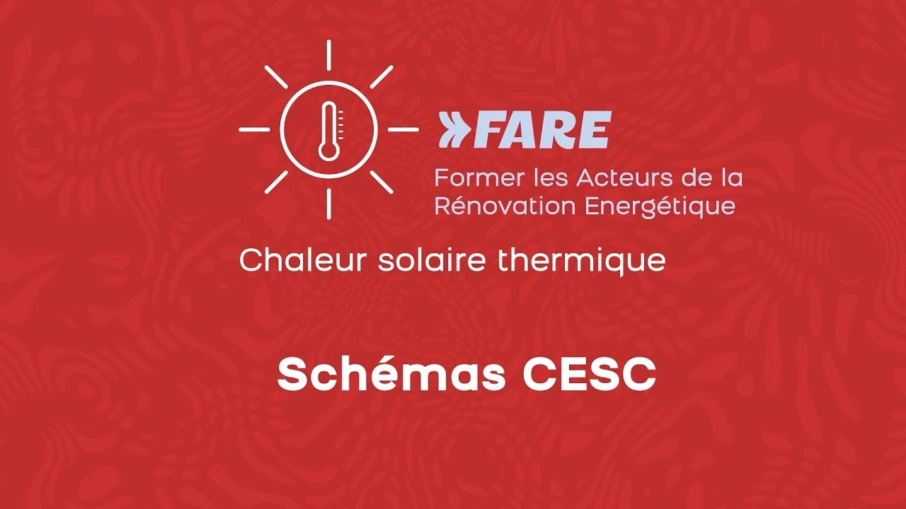 Schémas CESC de PROFEEL - Miniature vidéo Schémas CESC de PROFEEL - Miniature vidéo